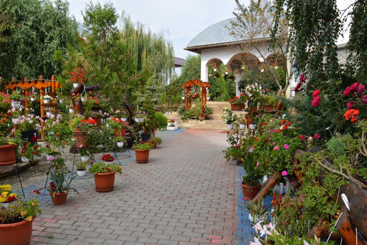 PELERINAJ LA MĂNĂSTIRILE DIN MARAMUREȘ 03-05 SEPTEMBRIE 2021